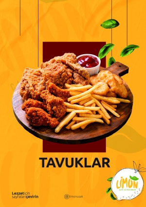tavuklar