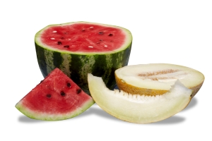 Kavun Karpuz