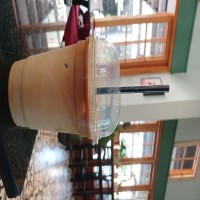 Ice Karamel Latte