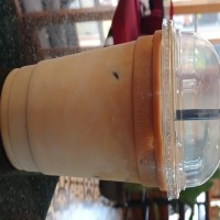 Ice Salted Karamel Latte