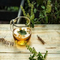 Tulsi Tea