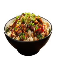 Chicken Hong Kong Rice-F