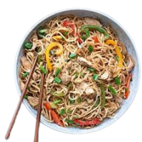 Chicken Hakka Noodles-H