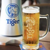 Tiger Draught Set