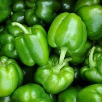 4 صحون فلفل رومي