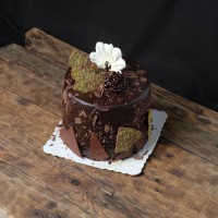 Antep Fıstıklı Tekli Pasta (Adet) - Soslu