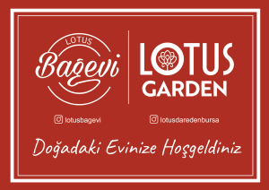 Lotus Bagevi